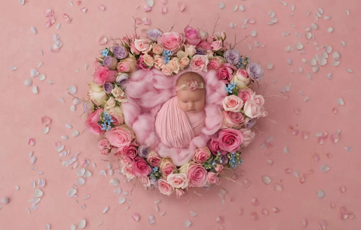 Baby newborn photoshoot themes for girls