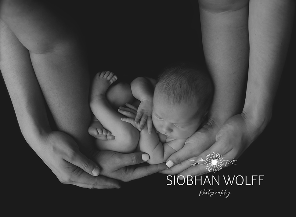black and white newborn and parents hands photographer vic
