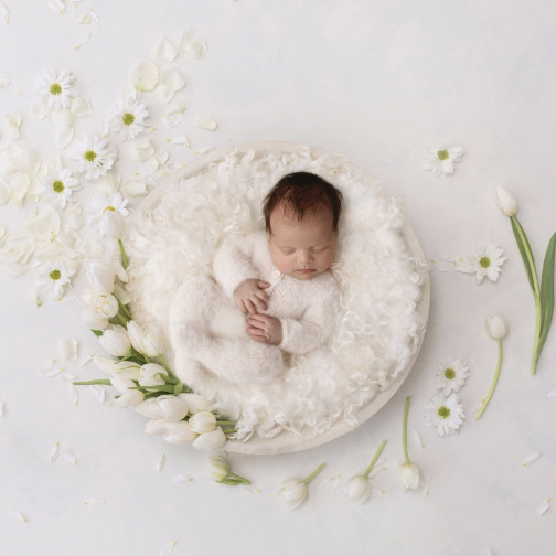 Newborn photography Brighton family portrait in studio